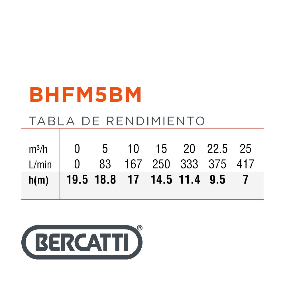BOMBA DE SUPERFICIE CENTRIFUGA 1,5HP BERCATTI BHFM5BM
