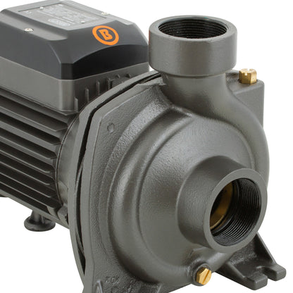 BOMBA DE SUPERFICIE CENTRIFUGA 1,5HP BHFM6C BERCATTI