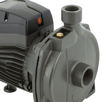 BOMBA DE SUPERFICIE CENTRIFUGA 1,5HP BERCATTI CPM170B
