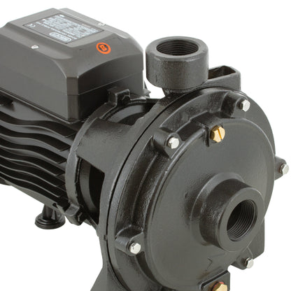 BOMBA DE SUPERFICIE CENTRIFUGA 1,5HP DOBLE IMPULSOR BERCATTI 2SGPM140