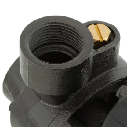BOMBA SUPERFICIE PERIFERICA 0,5HP BERCATTI QB60B